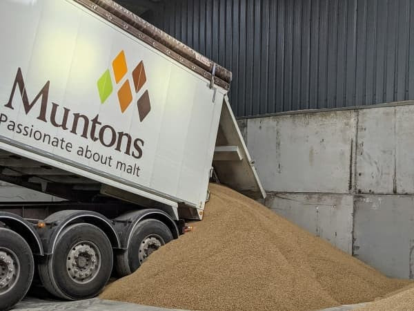 All About Malt