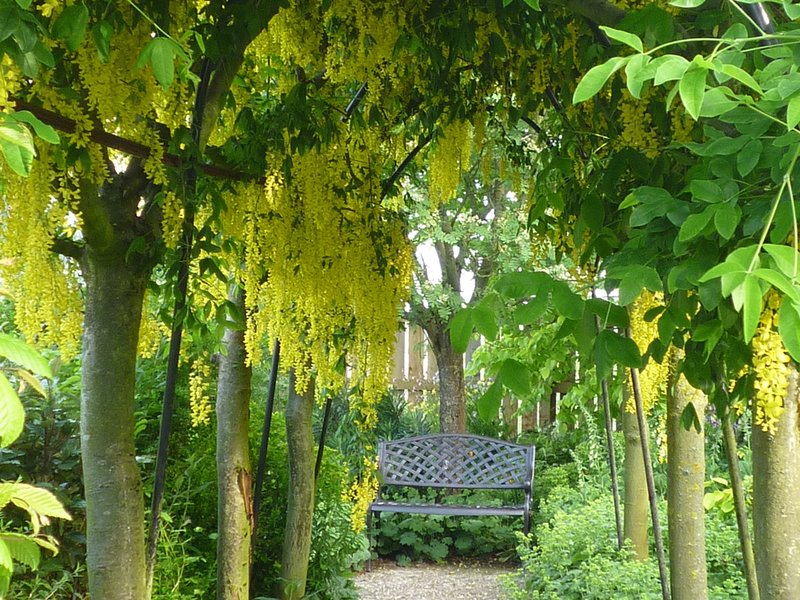 Celebrating 90 years of the National Garden Scheme with garden and brewery opening