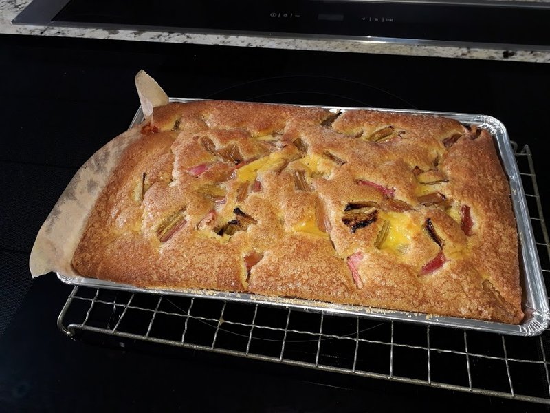 The recipe for Gill's Rhubarb and Custard Traybake