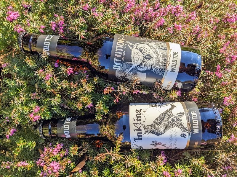 The Rise of Low Alcohol Beers