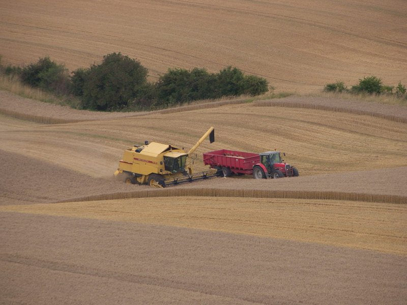 Harvest time