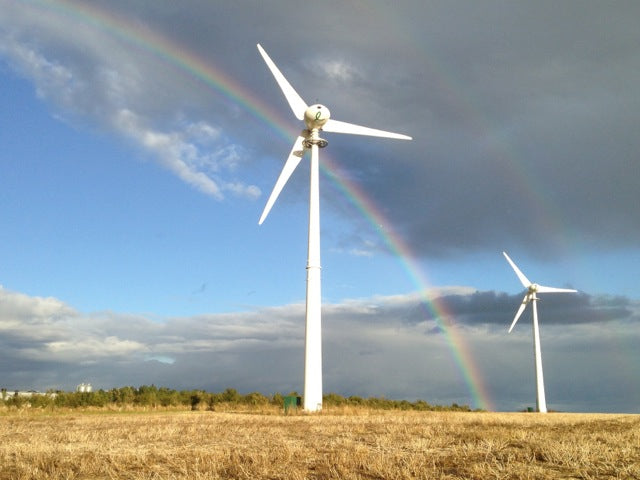 Directors' Diary - Wold Top and Sustainability