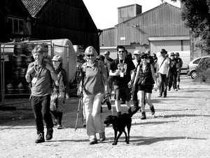 Moonbeams Festival Guided Walk