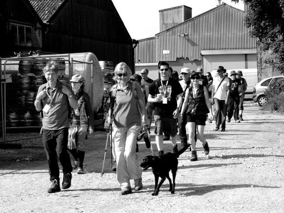 Moonbeams Festival Guided Walk