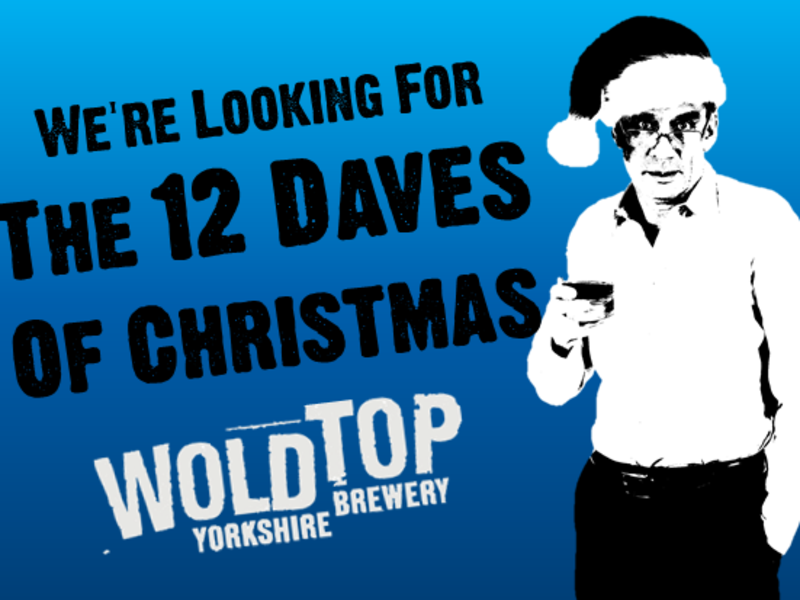 Can you help us to find the 12 Daves of Christmas?