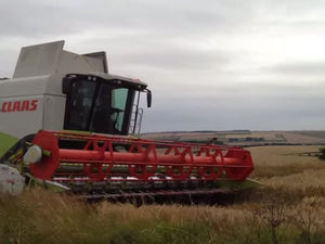 Harvest Home