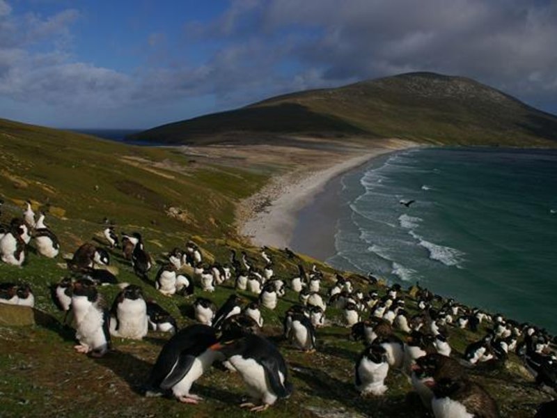 Wold Top Brewery's Falklands order