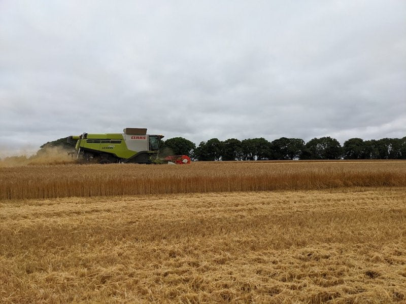 This month's Directors' Diary is all about harvest
