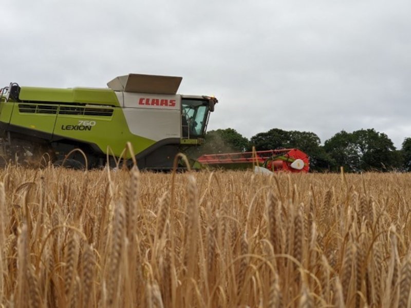 Trialling a new barley variety