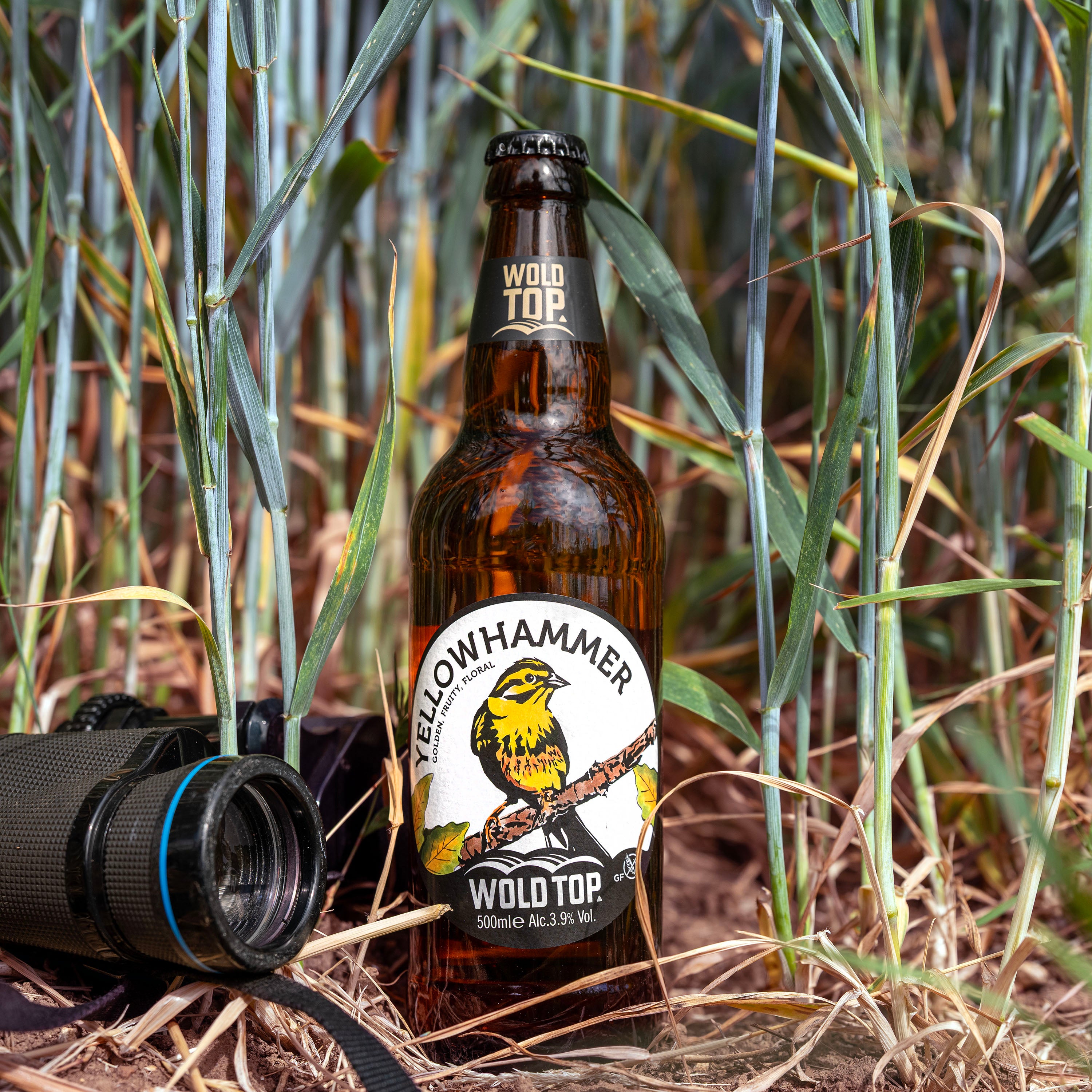 Yellowhammer (2025 Limited Edition)