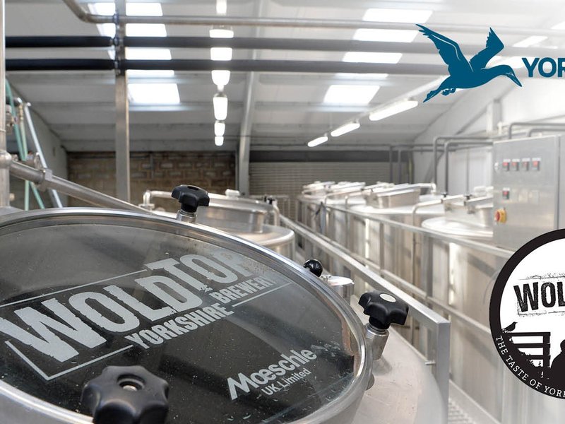 The Constellation Series Is Back And Other News