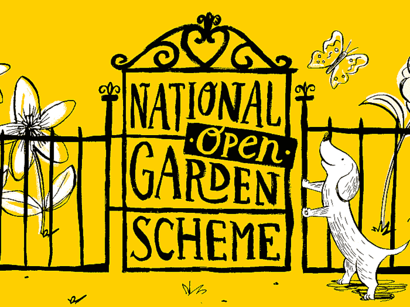 Happy New Year Its A Year Of Anniversaries For Us