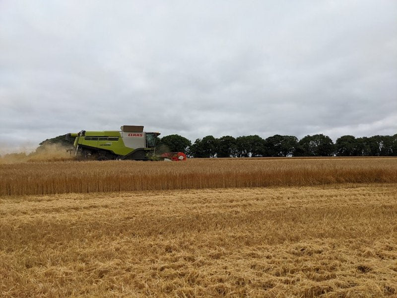 This Months Directors Diary Is All About Harvest