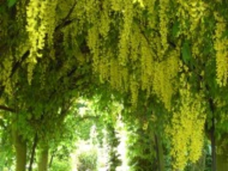 Wolds Produce Will Feature At Open Day