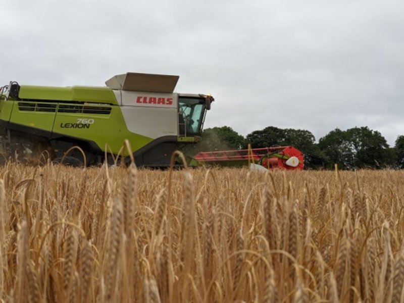 Trialling A New Barley Variety