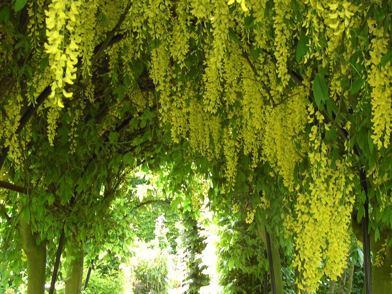 Beer Berberis And Big Skies