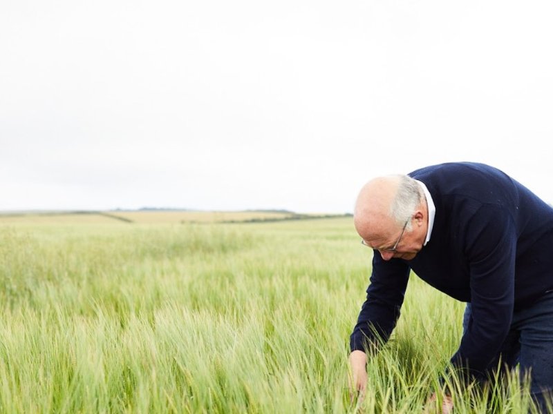 Harvest At Hunmanby Grange
